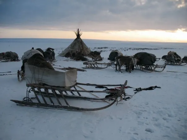 Nenets camp in Siberia
