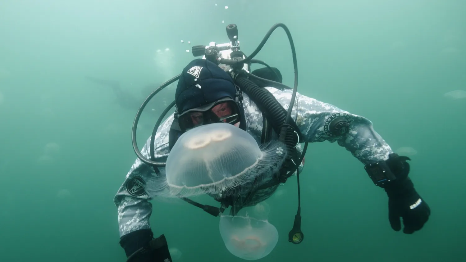 Diver and jellyfish
