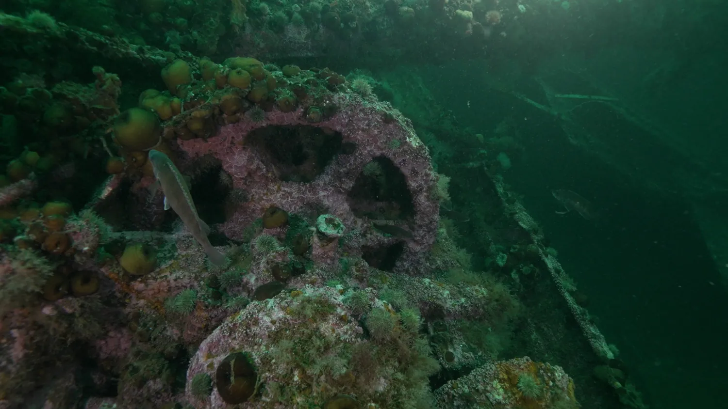 Underwater wreck